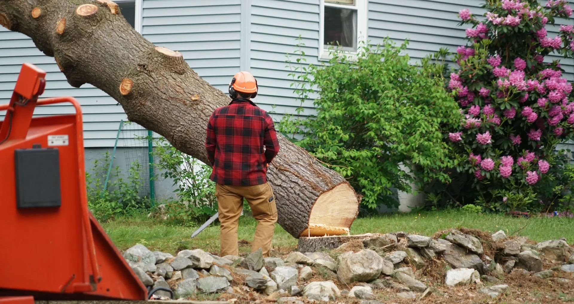Celtic Tree Services tree removal